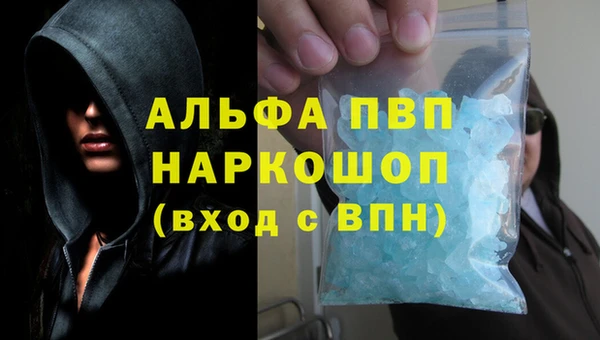гашик Алексин