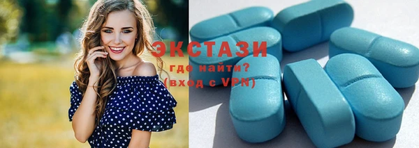 гашик Алексин
