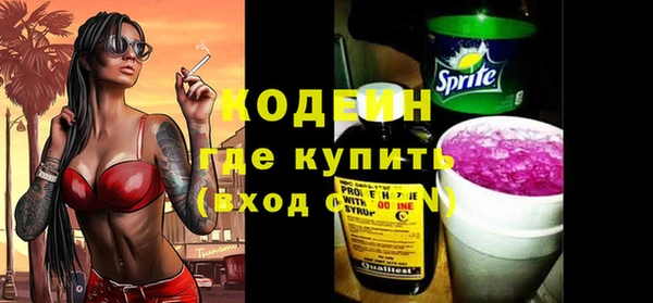 гашик Алексин