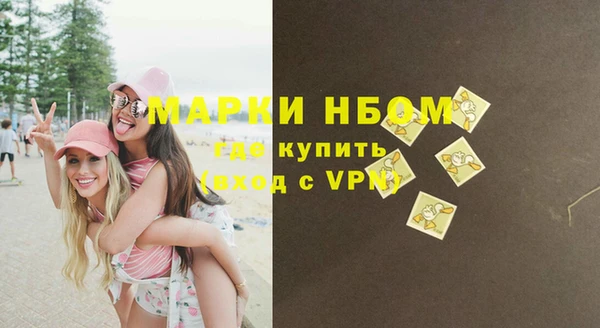 гашик Алексин