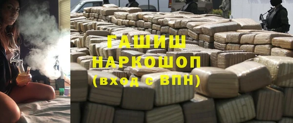 гашик Алексин