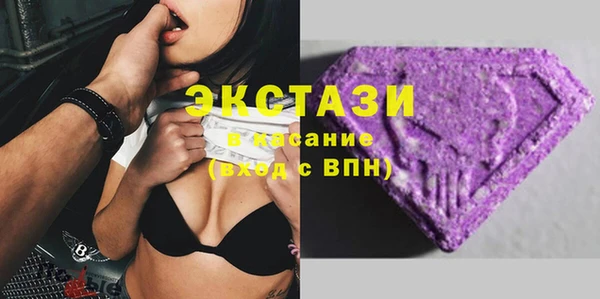 гашик Алексин