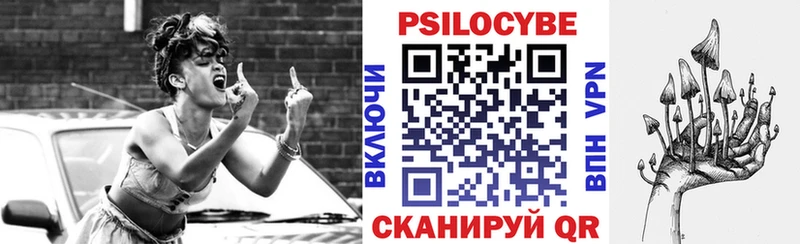 купить наркотики сайты  ОМГ ОМГ маркетплейс  Галлюциногенные грибы прущие грибы  Чадан 