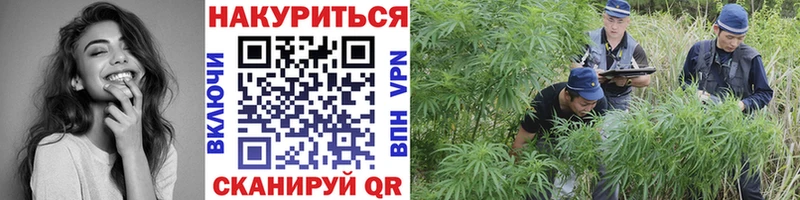 купить наркоту  Чадан  darknet состав  Канабис AK-47 